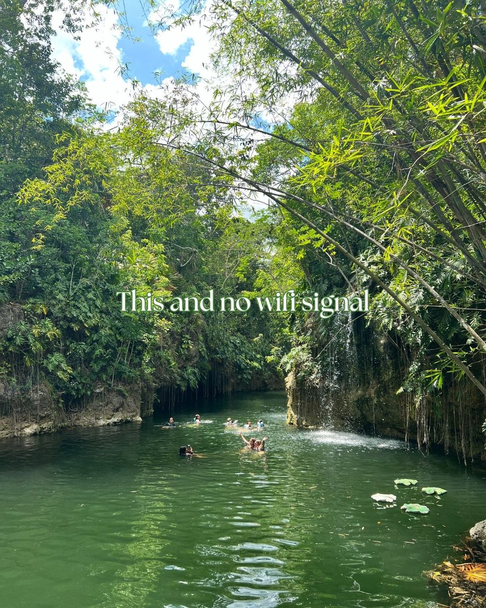 💚 if you also believe the best kind of therapy is a day in the middle of the jungle. 

#TourXenotes