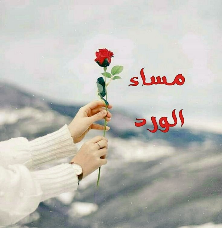 <a href="/baderrrrr18/">شاعر رومانسي 🖋</a>