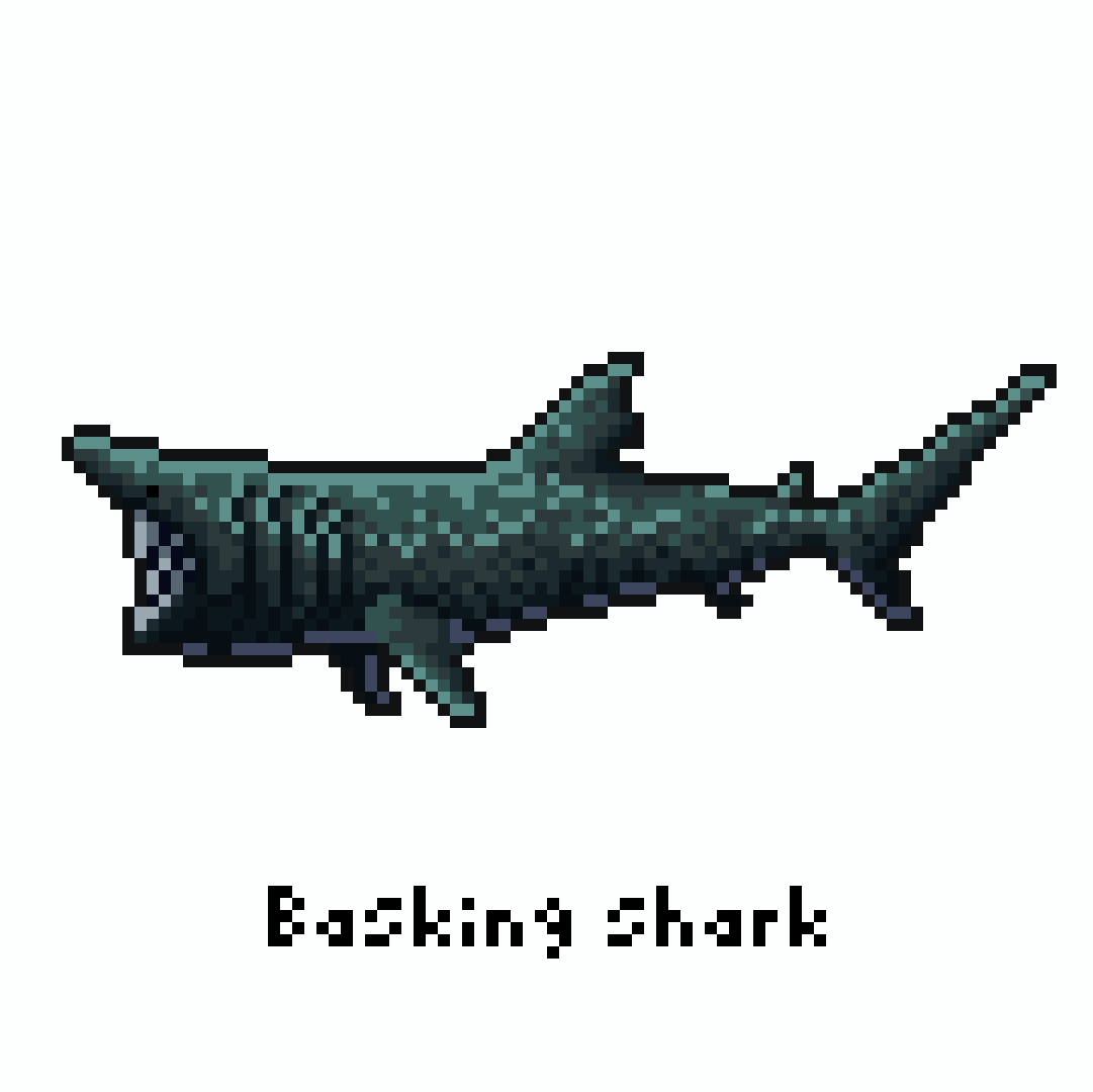 yofca13's tweet image. ウバザメ / Basking shark

#pixelart #illustration #ドット絵