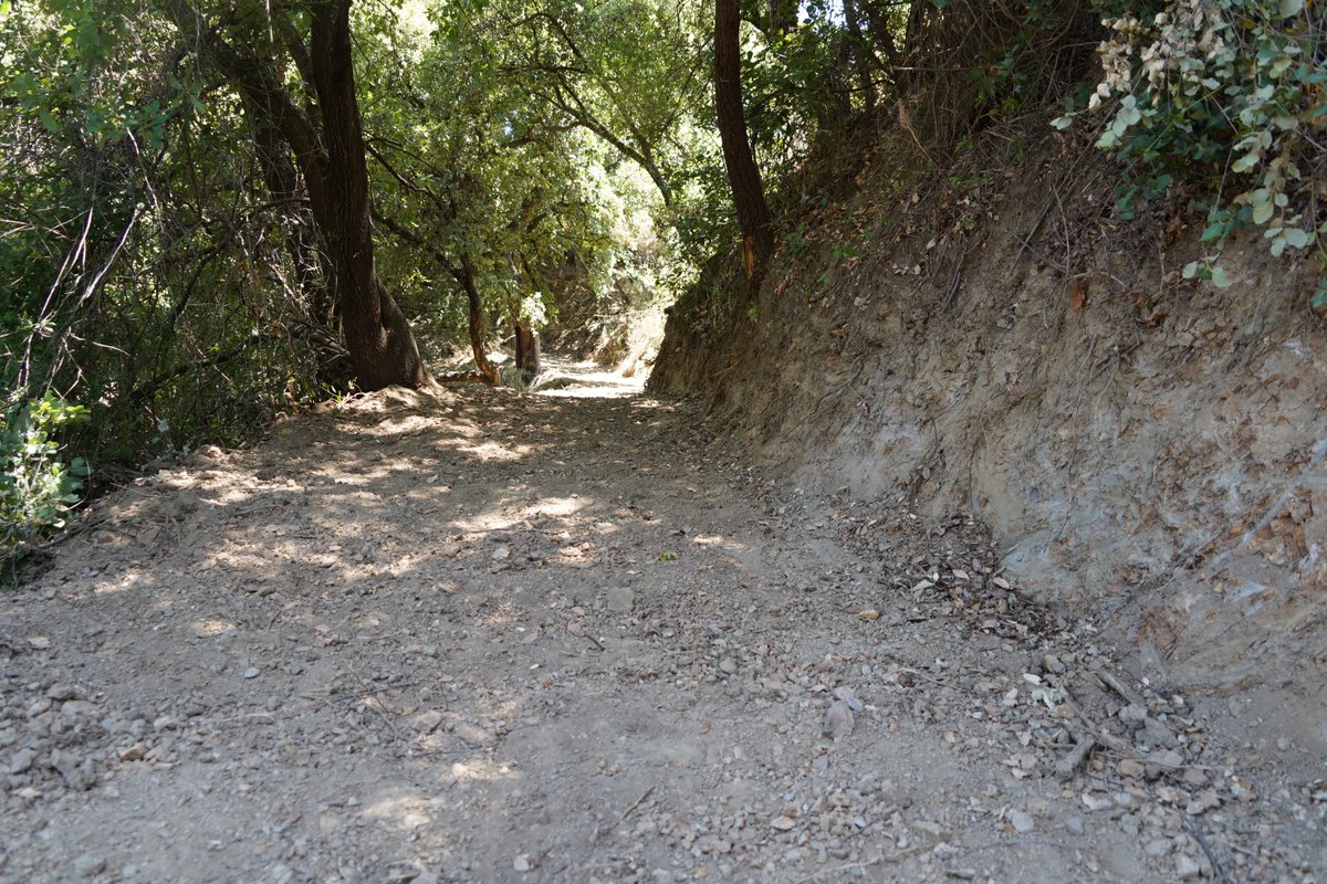 <a href="/pujerra/">Pujerra del Genal</a>  REALIZA #TRABAJOS DE MEJORA DEL #SENDERO A IGUALEJA
#ValledelGenal #SerraniadeRonda #Malaga #senderismo <a href="/SenderosGR/">SenderosGR</a>