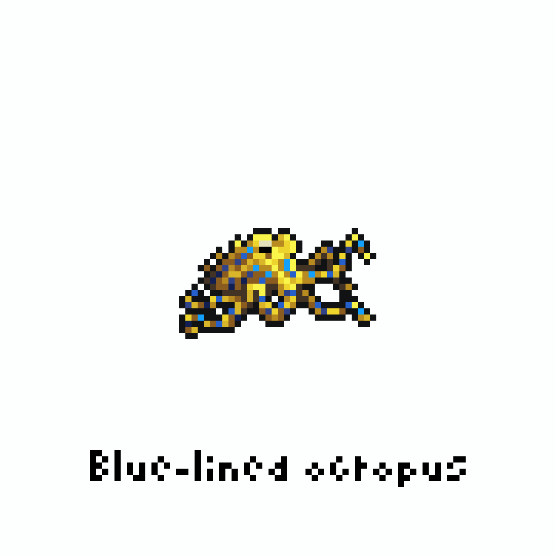 yofca13's tweet image. ヒョウモンダコ / Blue-lined octopus

#pixelart #illustration #ドット絵