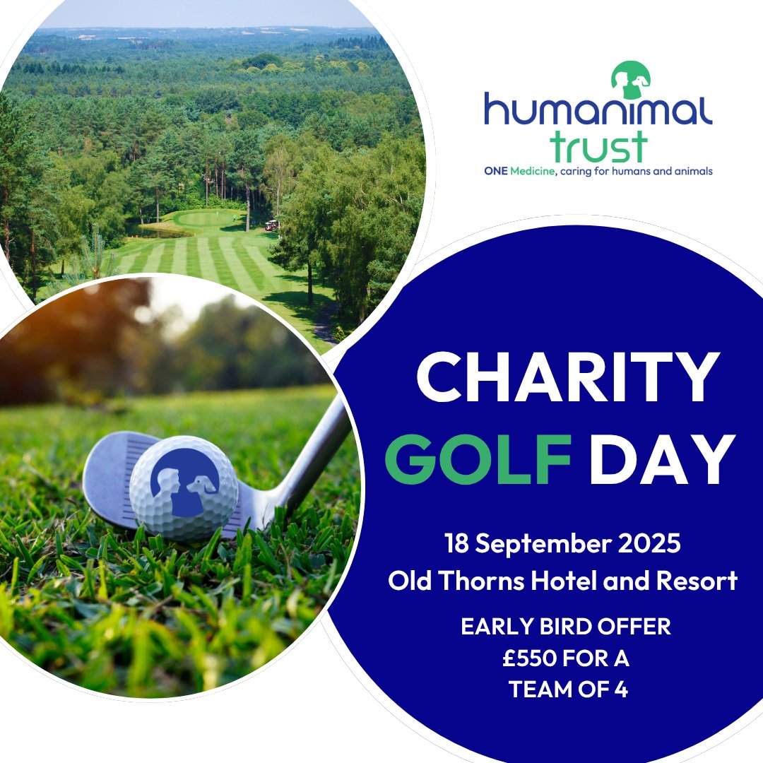 HumanimalTrust's tweet image. Businesses – are you looking for a way to unite your team, fulfil your CSR, and make a difference all at the same time?
Why not enter a team, or a few teams, into our charity Golf Day this September? There’s still time to catch our early bird offer too: bit.ly/3BFmGBv