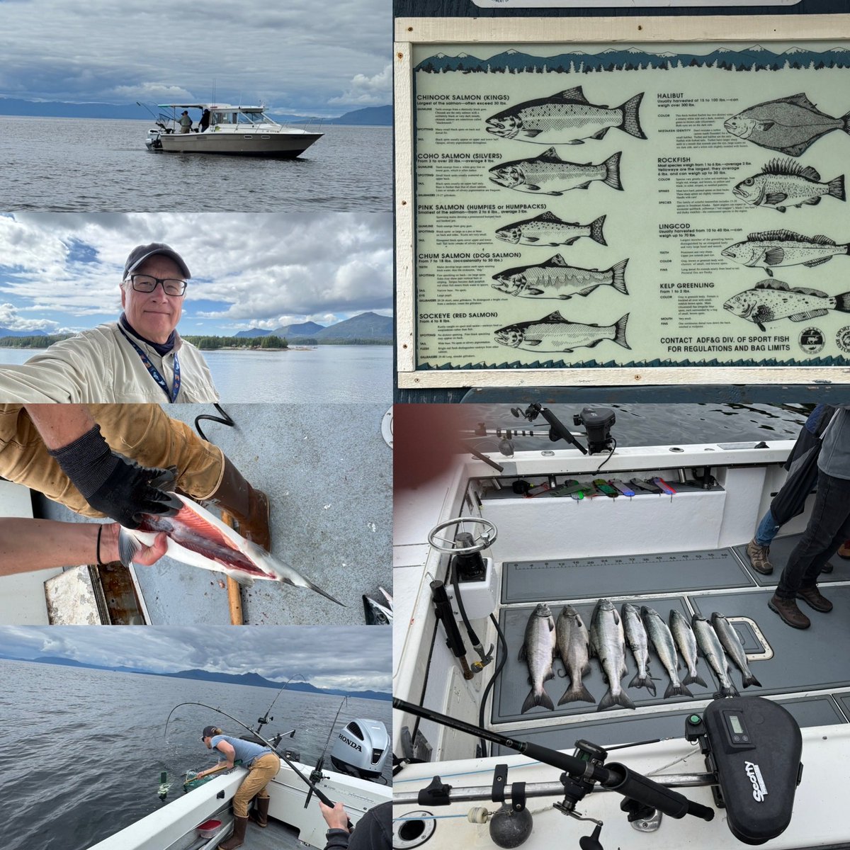 DSweeting's tweet image. Final days of an extraordinary trip to Alaska salmon fishing in Ketchikan—the so named salmon capitol of the world. This is where all that restaurant food begins! Missed the salmon river run and spawning by two weeks.