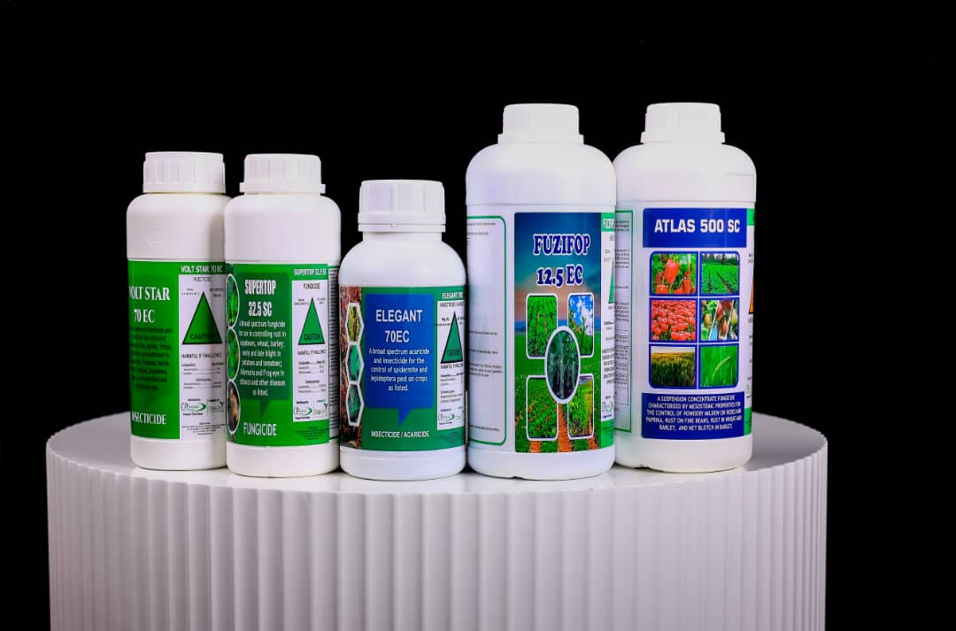 ForwardMakasi1's tweet image. INDEED, the COLESLAW main Ingredient #CABBAGE supply in Zimbabwe is guaranteed! At Entre-Rios Farm in Goromonzi, Mr Anotida Mazana established 90k plants of #STAR3311 on 17 June. He is getting all the CROP CHEMICALS &amp;amp; TECHNICAL SUPPORT from us! 
#CPCHEMICALS 
#FarmersFirstChoice