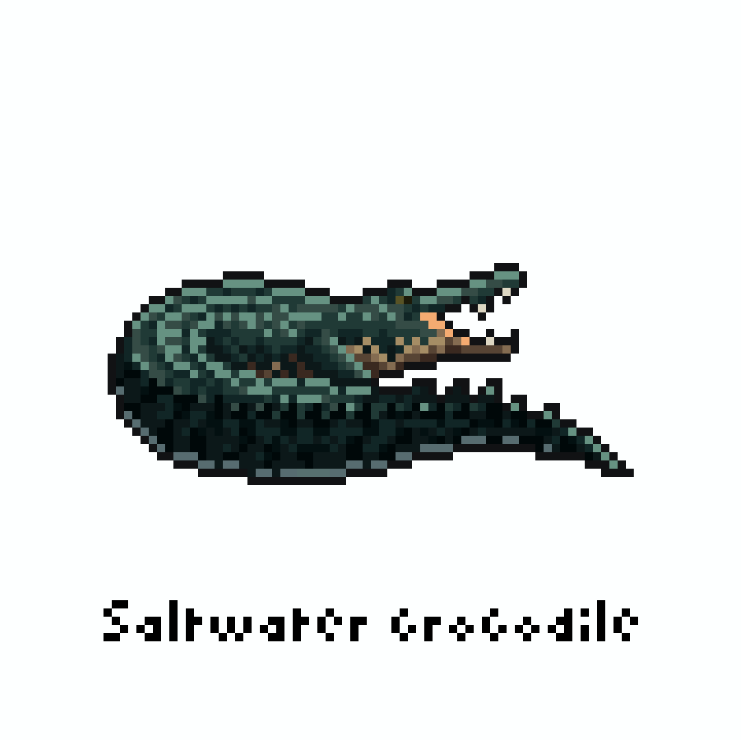 yofca13's tweet image. イリエワニ / Saltwater crocodile

#pixelart #illustration #ドット絵