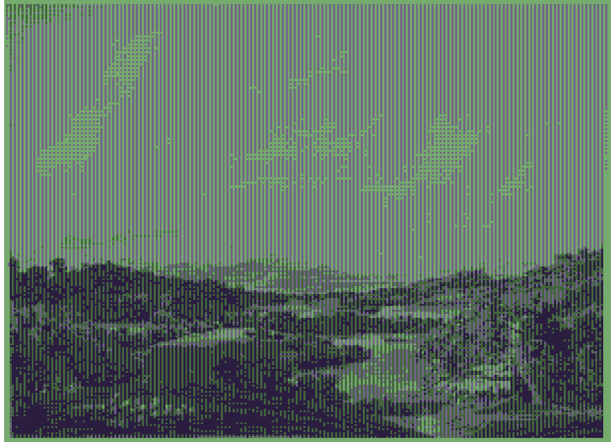 Lost in a fog of green

machine in the ghost by <a href="/0xdiid/">diid</a>