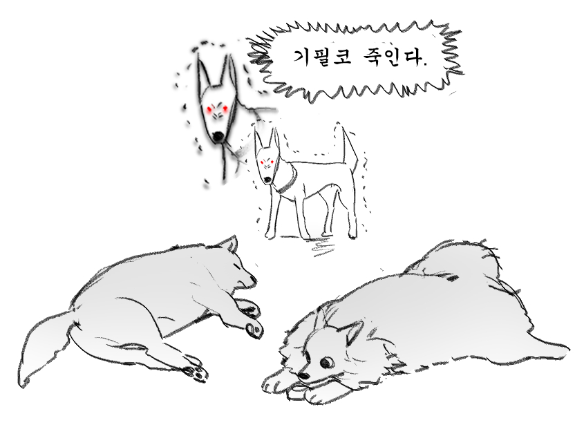 Studylee6's tweet image. 개말라 프로아나 고래회충 싸패 강아지와
 우리집 순둥멍충 털복숭 둥글강아지들