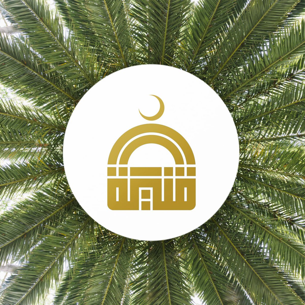 تمور قنية #تصميمي