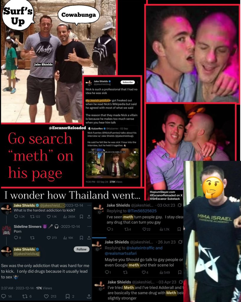 Tweet media one