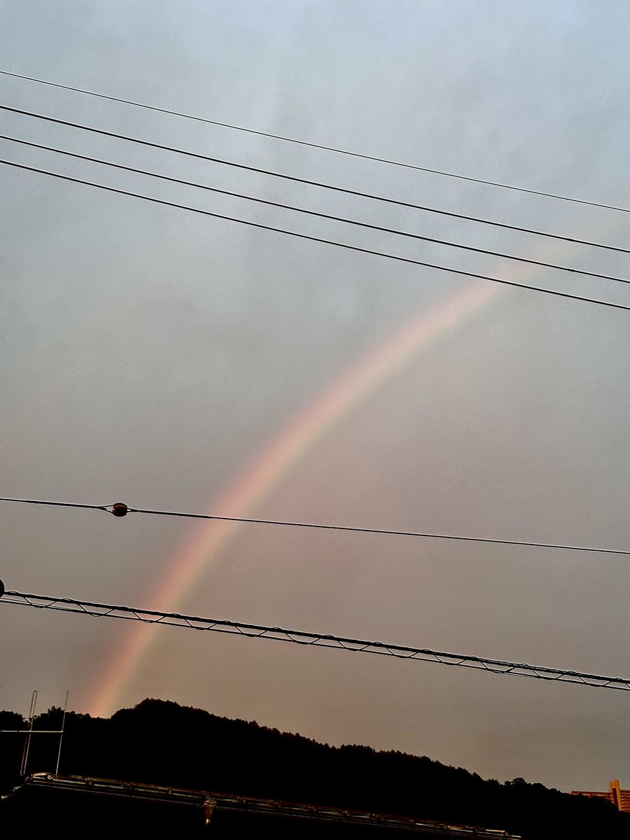 ebun3's tweet image. 【ギネス珈琲豆移動】
★記録58粒🫘

挑戦1122日目
世界記録48粒
920回目の達成

すごい雨だったが
その後の明けに救われる
#歯医者
#はな練の練
#CPAP
#昨日食ったアサイーのソーダ割り美味かったな
