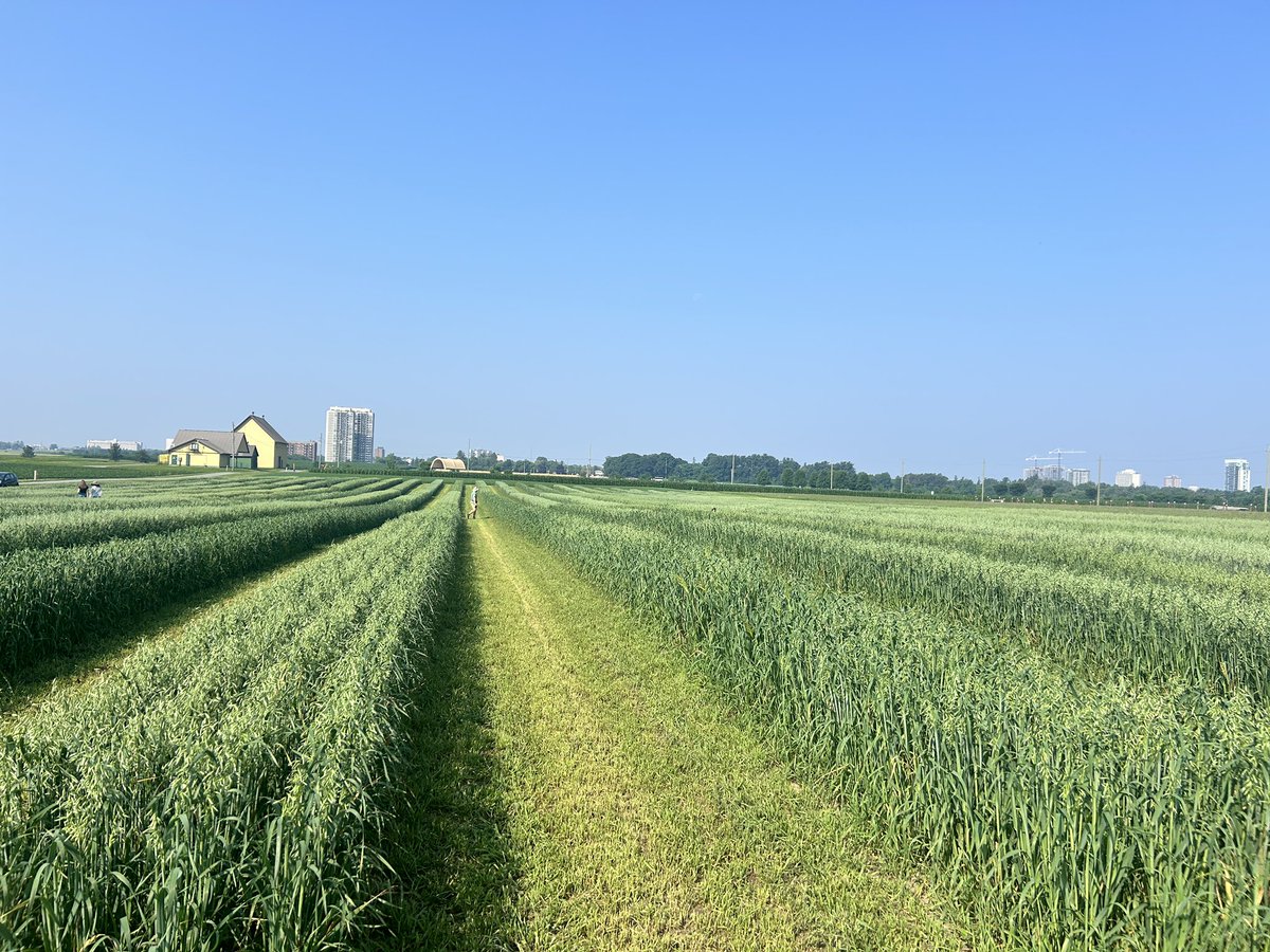 Phil Bailey tweet media