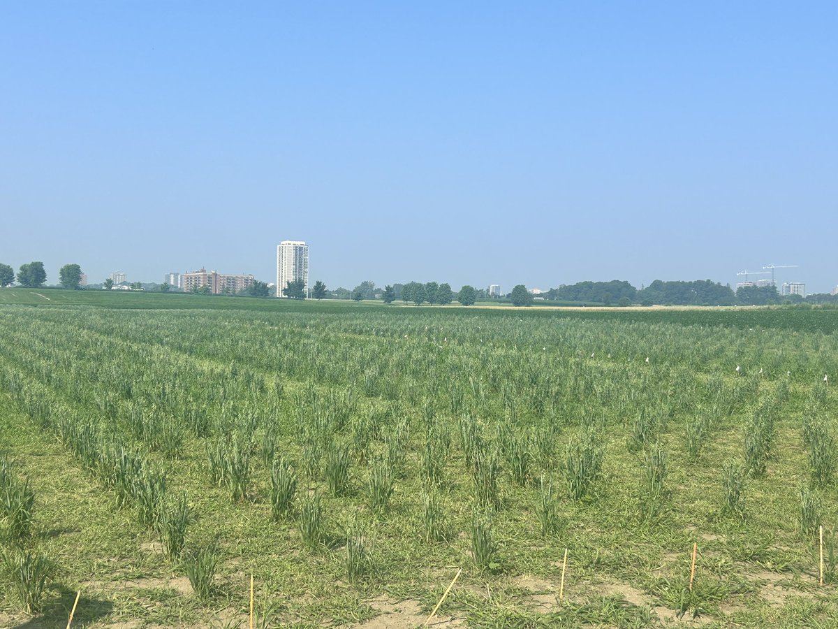 Phil Bailey tweet media