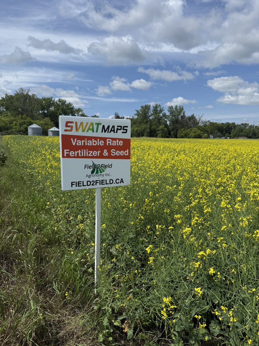 Signs from <a href="/swatmaps/">SWAT MAPS</a> turned out not too shabby!