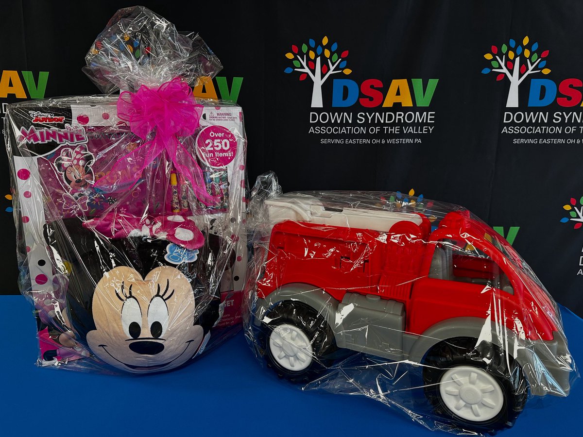Can YOU donate a basket? 
Teams that donate completed baskets for the Buddy Walk basket raffle to the DSAV office by August 1st will receive $150 credit toward their 2025 team for each basket or gift certificate donated. 

Email office@dsav.org with any questions.
