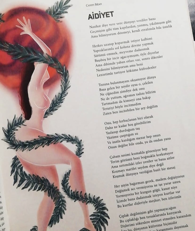 Başıboş bir incir ağacıymışım, öyle diyorlar