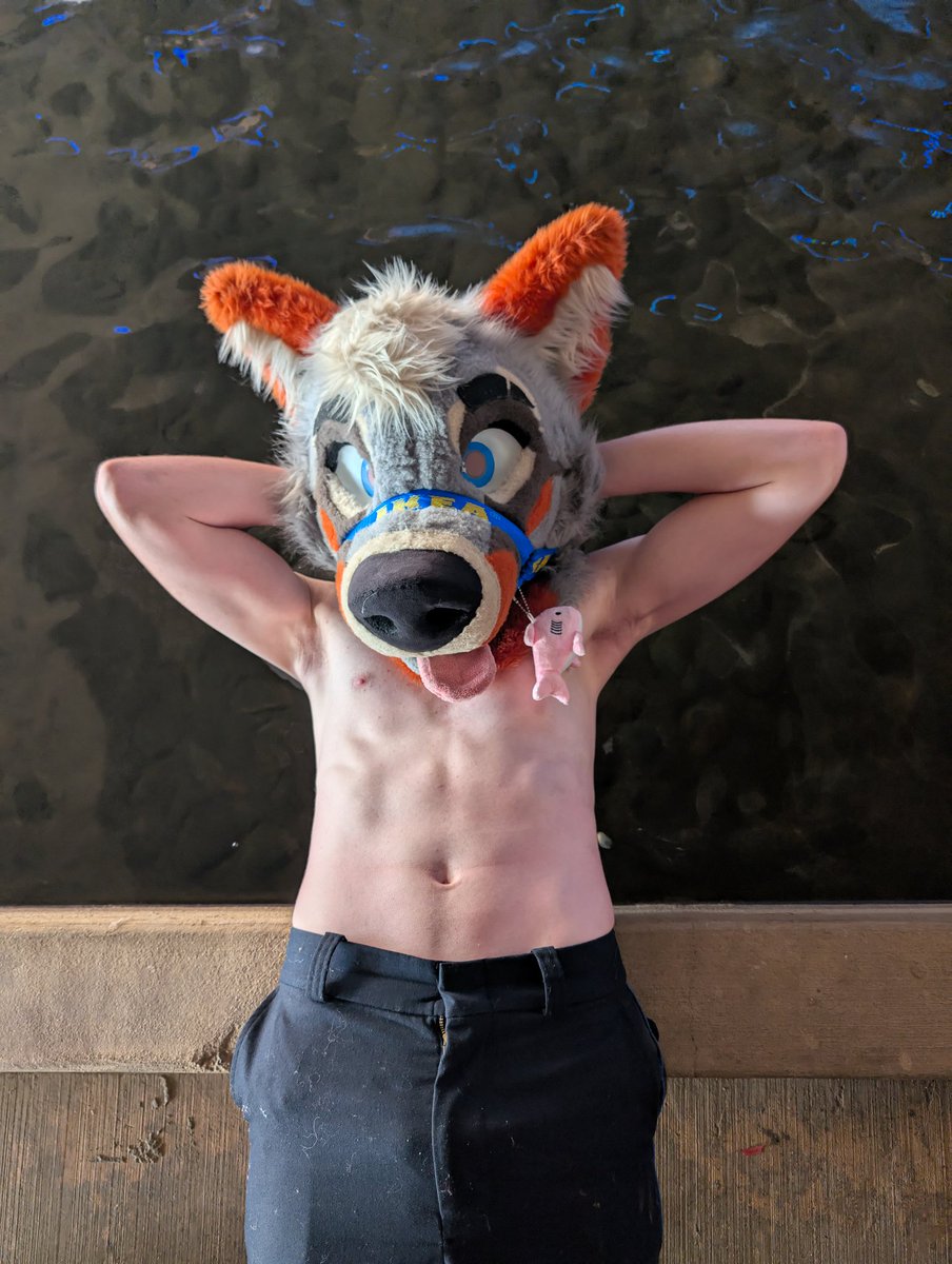 PartDoggo's tweet image. 🐶