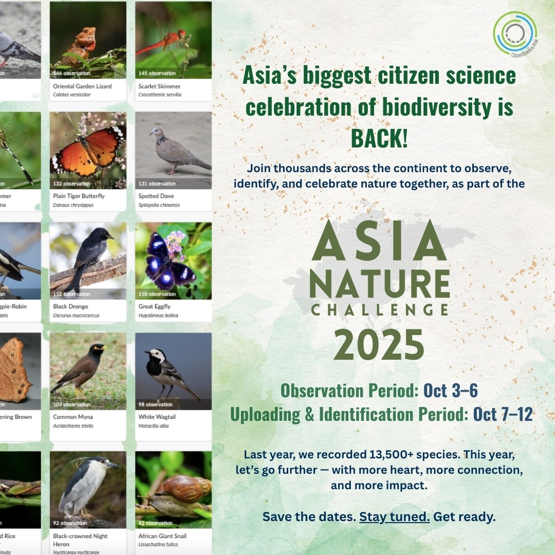 CitSciAsia's tweet image. Asia Nature Challenge is back! 
Asia&apos;s biggest #citzenscience celebration of biodiversity is returning in October.
📅 Save the date: October 3-6th

Stay tuned for more information as it comes.
#ANC2025 #AsiaNatureChallenge
