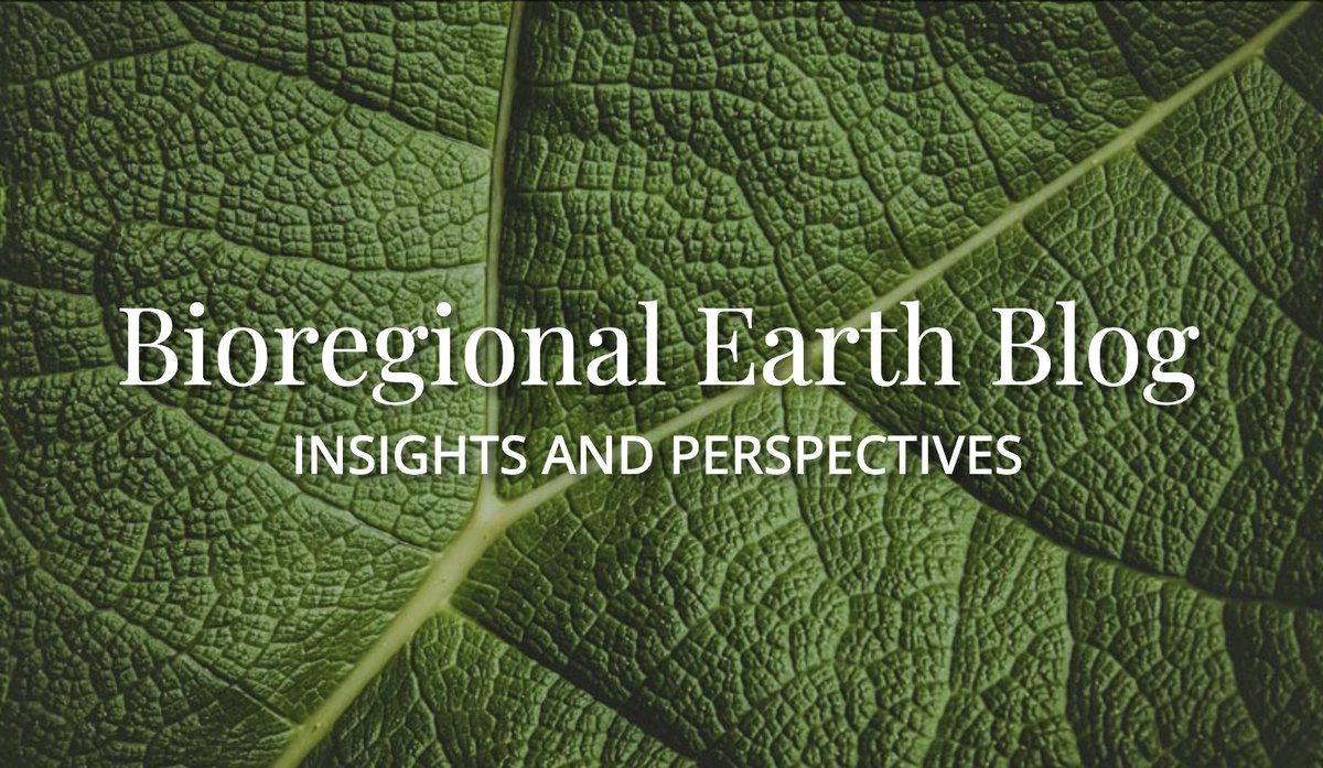 Did you know that we have created an inspiring collection of stories about people all over the world who are helping regenerate the Earth?

Check it out!

bioregionalearth.org/blog