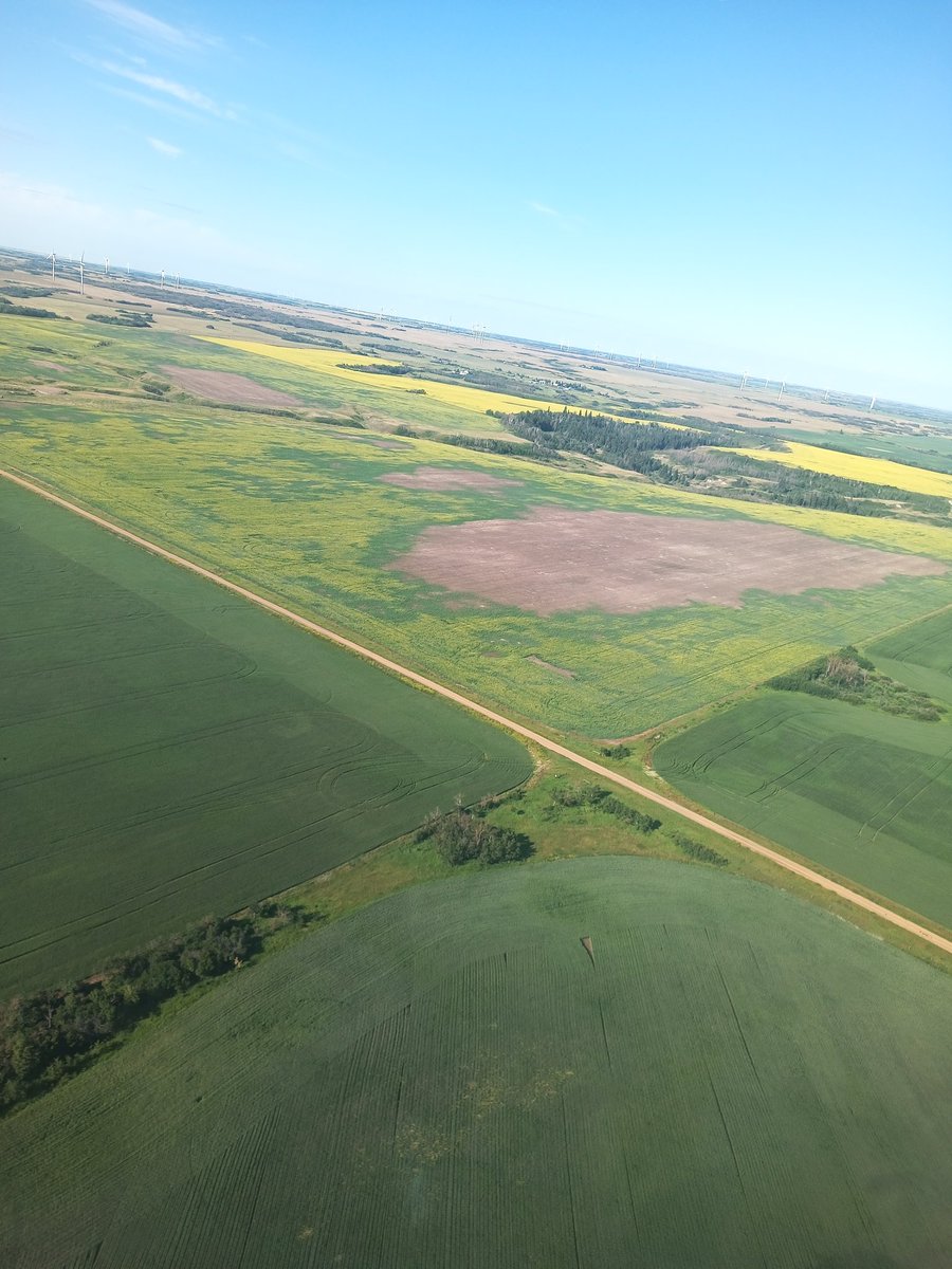 Kelsey Solick tweet media