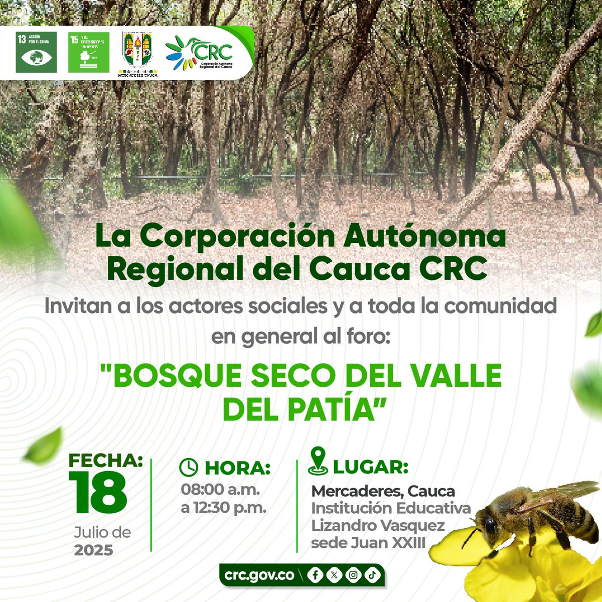 🌳 ¡Te invitamos a ser parte del cambio! 

🙋🏾‍♂️ Acompáñanos en el  foro: Bosque Seco del Valle del Patía, un espacio para reflexionar, compartir saberes y construir juntos la conservación de este ecosistema estratégico de gran biodiversidad del Cauca.