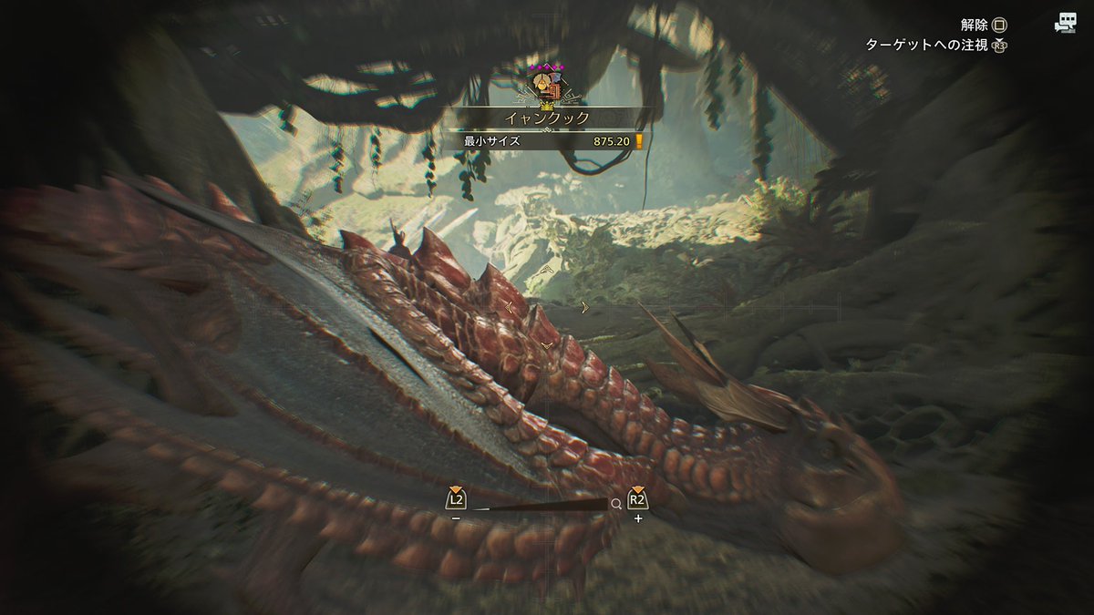 よっしゃーい！