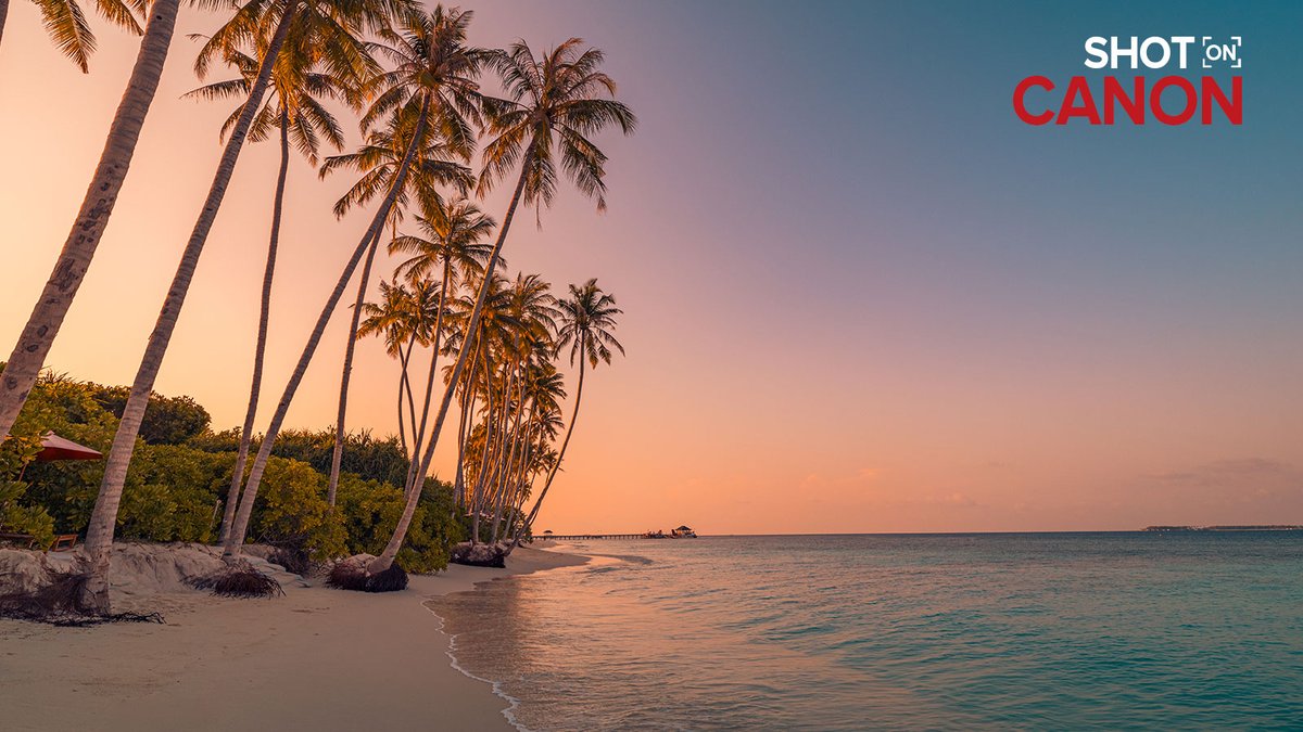 CanonUSA's tweet image. Time to share those summer gems! Drop your best #ShotOnCanon pics ➡️ Canon.us/shotoncanon 🏖️✨
