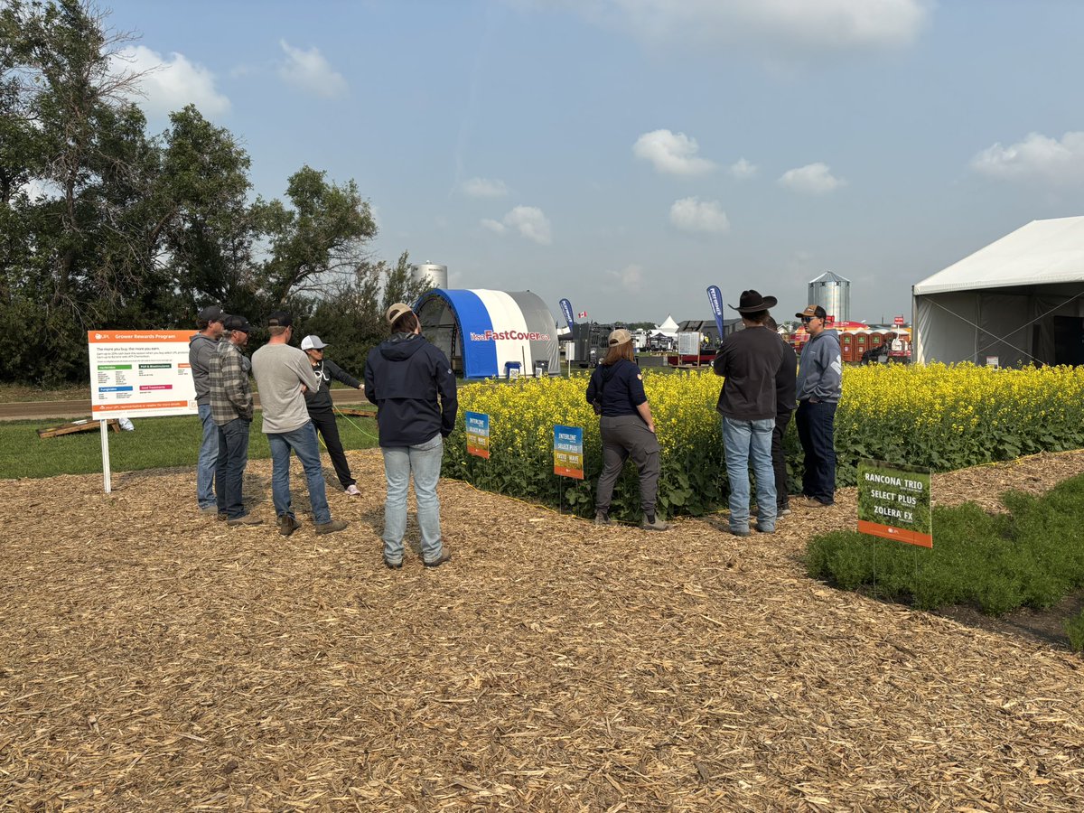 Rachael Woitas tweet media