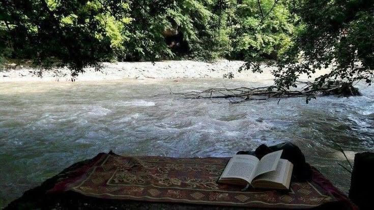 aesthetics (@aesthetics_40) on Twitter photo 