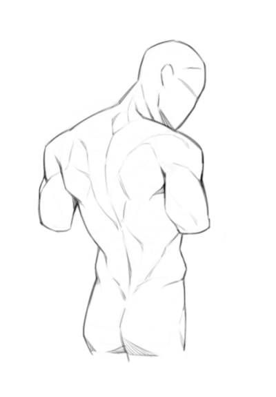 murmoruno's tweet image. Anatomy&apos;s homework I did today ✨