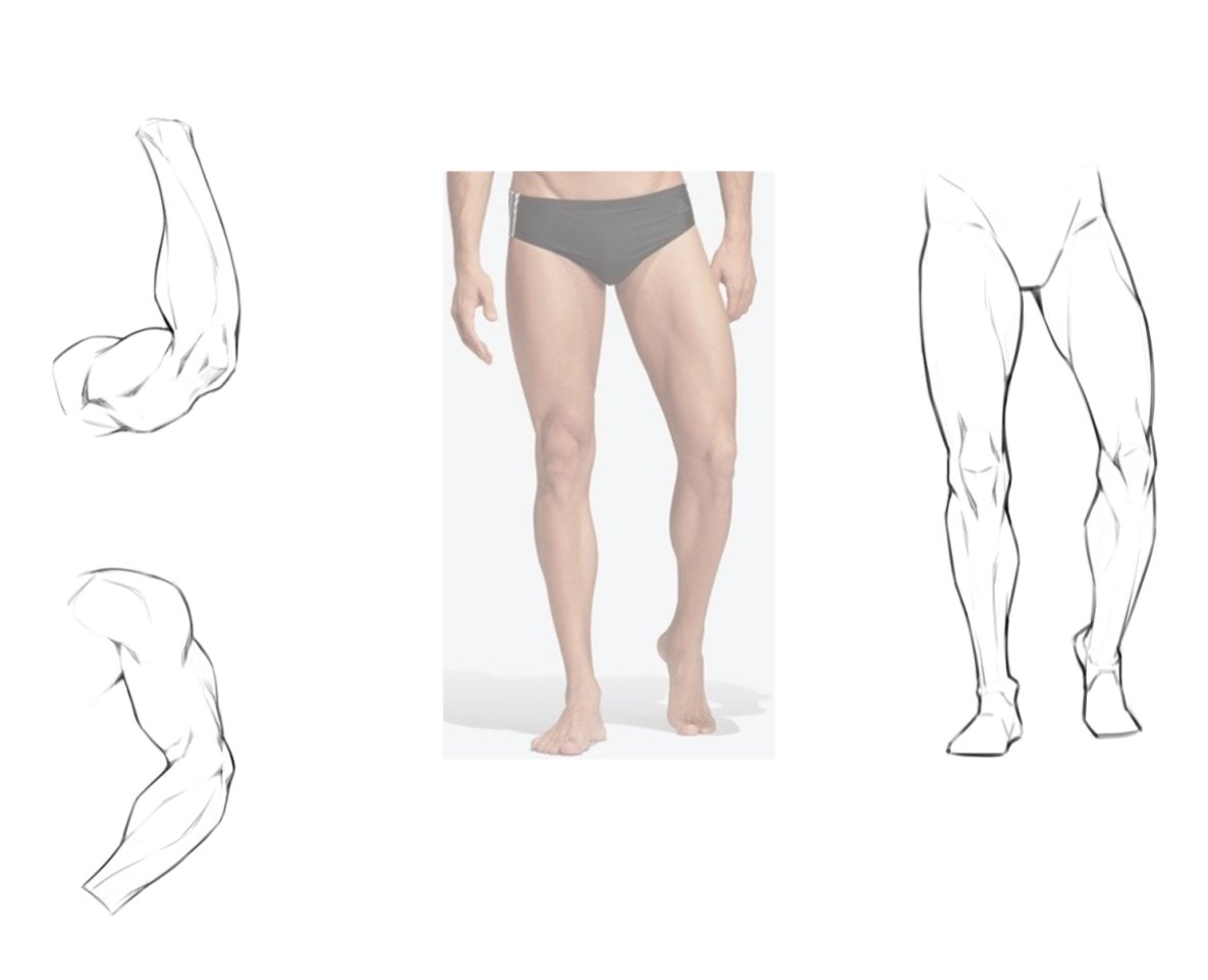 murmoruno's tweet image. Anatomy&apos;s homework I did today ✨