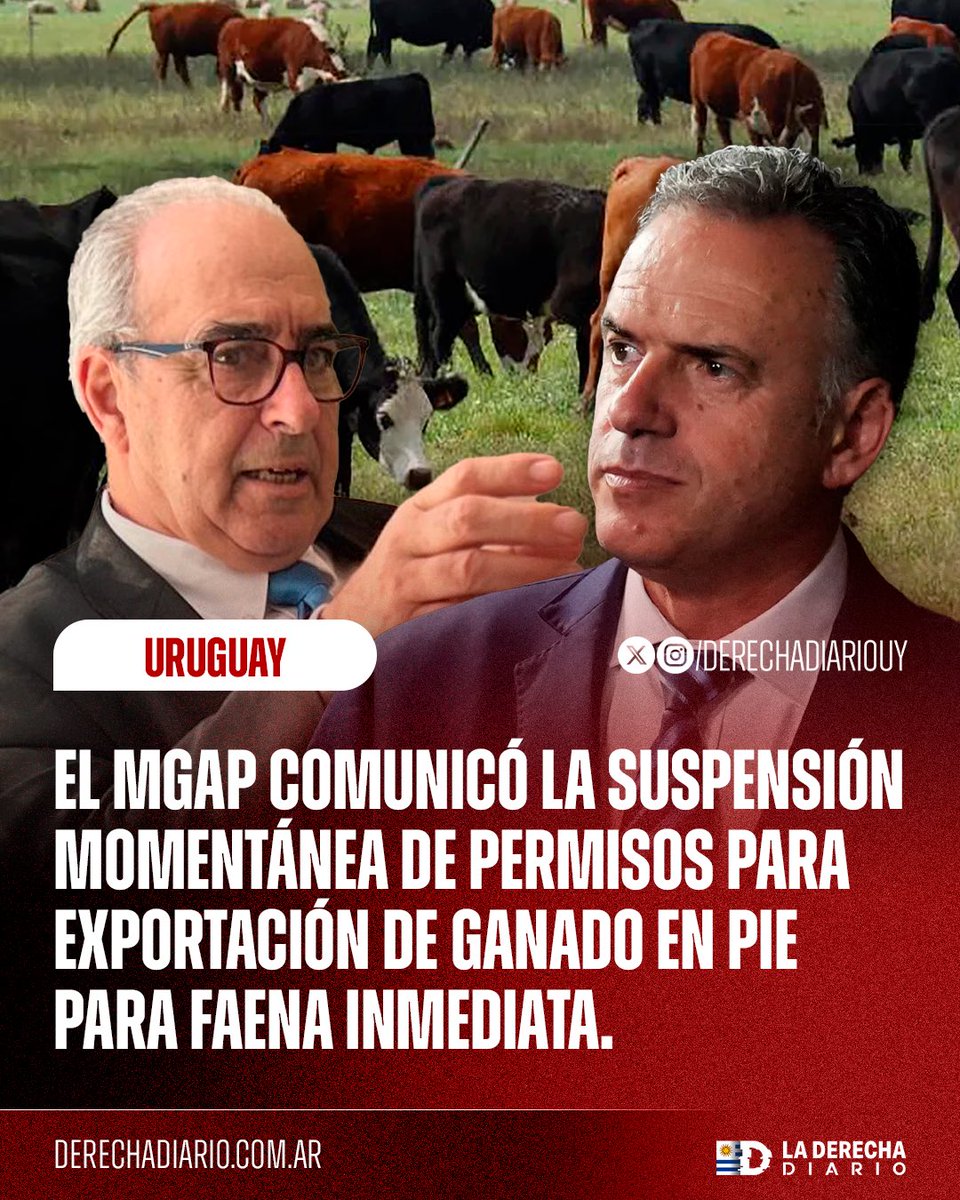 🚨🇺🇾 | #URGENTE En una medida totalitaria, delirante y de corte chavista que pone en peligro a los pequeños productores, el gobierno comunista de Yamandú Orsi decidió prohibir la exportación de ganado en pie para faena inmediata.