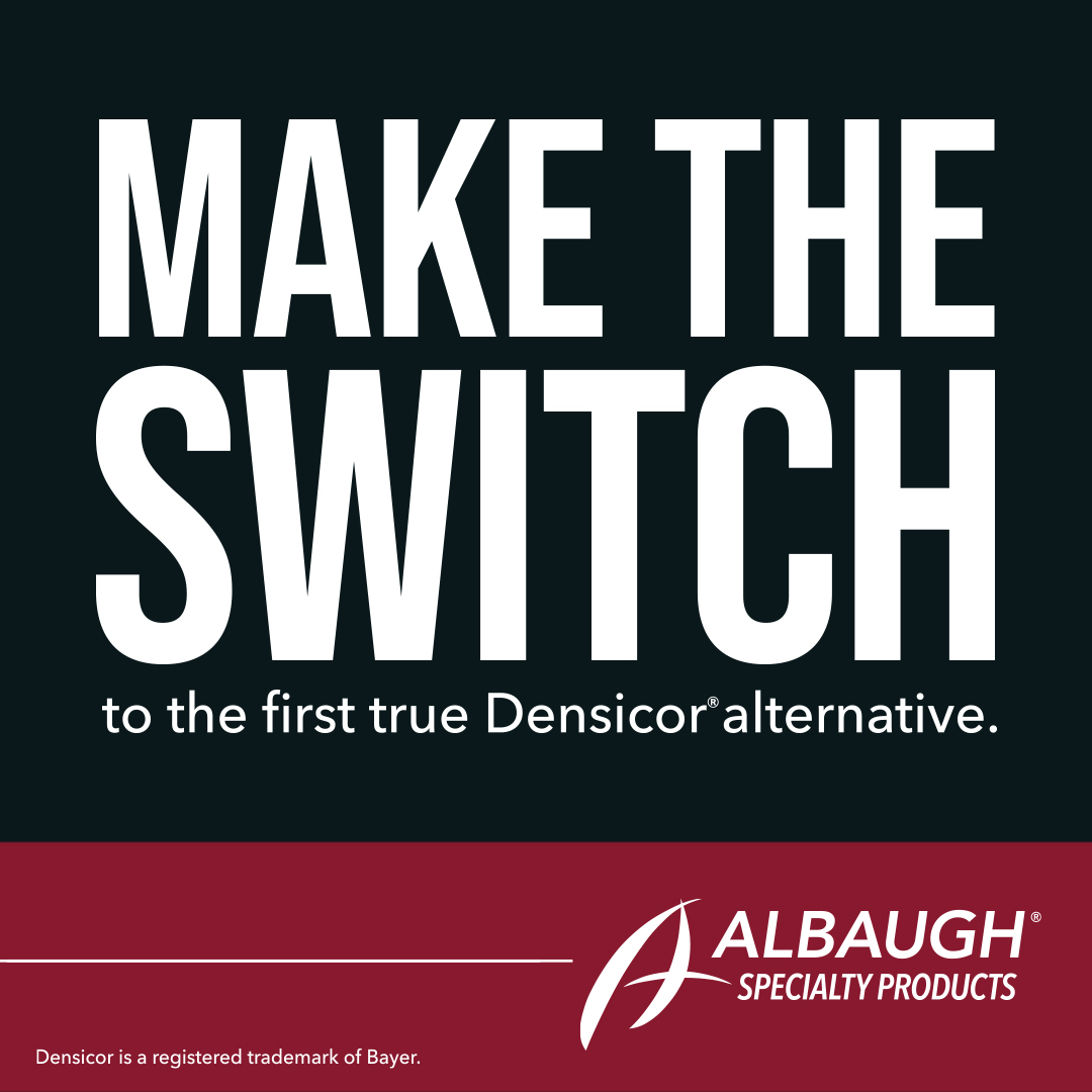 Prothioconazole 4L Select™ is a DMI fungicide that delivers preventive and curative control of dollar spot, fairy ring, brown patch, and other turf diseases. Go ahead and make the switch to the 1st Densicor® alternative. loom.ly/_YiXn1U #AlbaughSpecialty