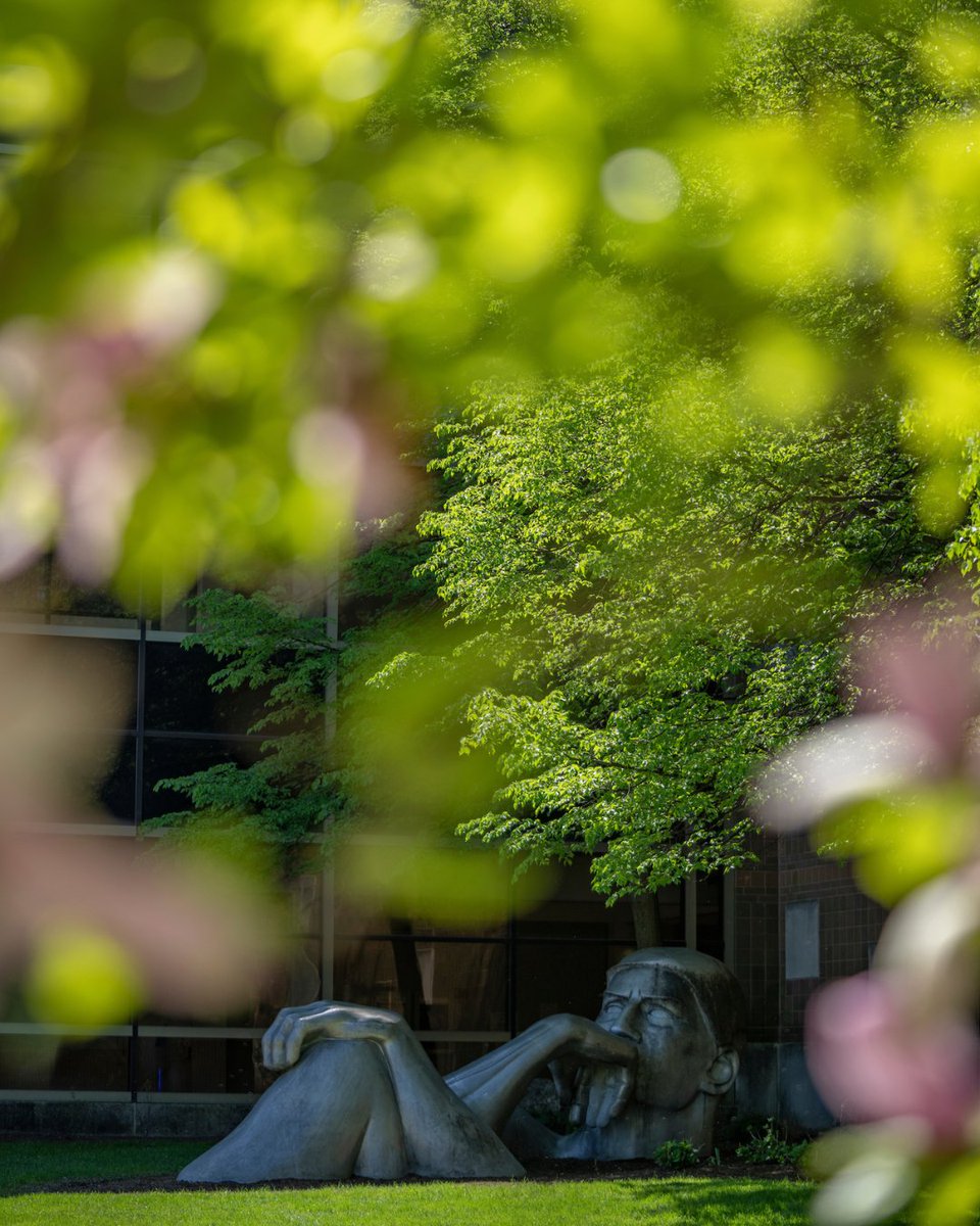 Summer mode: activated🌿🌷☀️