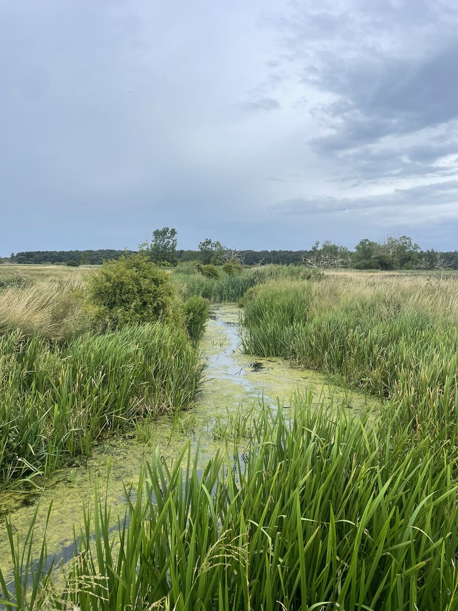 Ditches, dykes, drains 

Our control of the natural environment 

In some cases can have phenomenal benefits