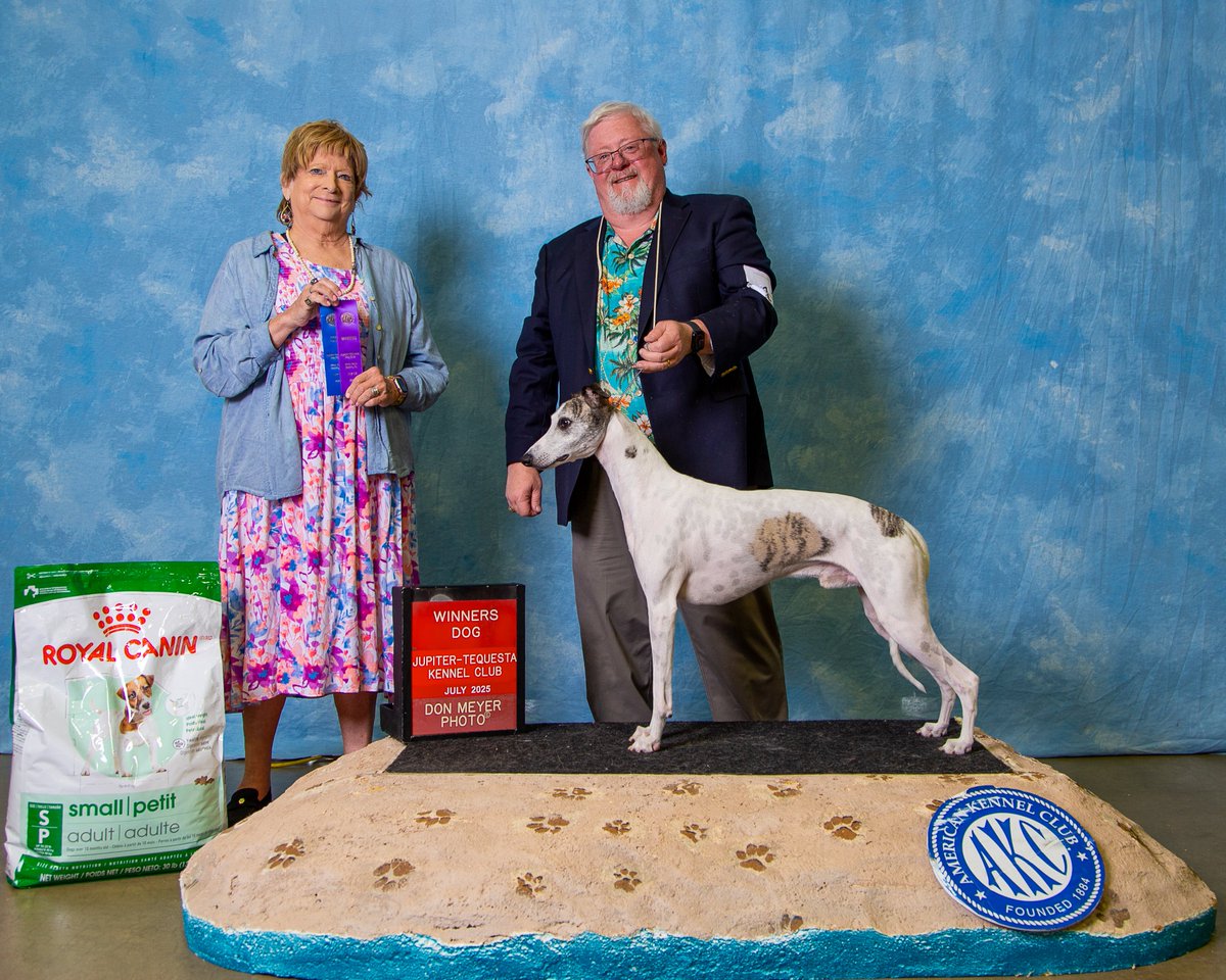 Caitlyn and I both were winners this past Sunday.  I wuz Winner's Dog and Cait was Select.  Woof!