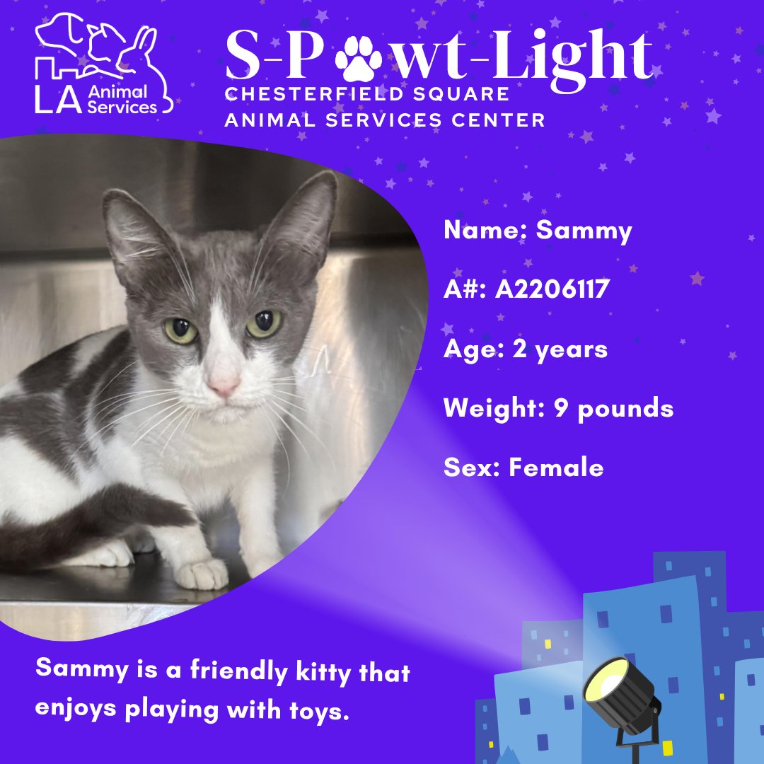 LACityPets's tweet image. Today's S-P🐾wt-Light shining on Chesterfield Square Center is part of the @cleartheshelters social media takeover!
The adoptable pets you can meet today are:
Felicia #A2198507
Sammy #A2206117
Snow #A2157376
Jabba The Mutt #A2187341
#Adopt #LACityPets #Spawtlight #LosAngeles