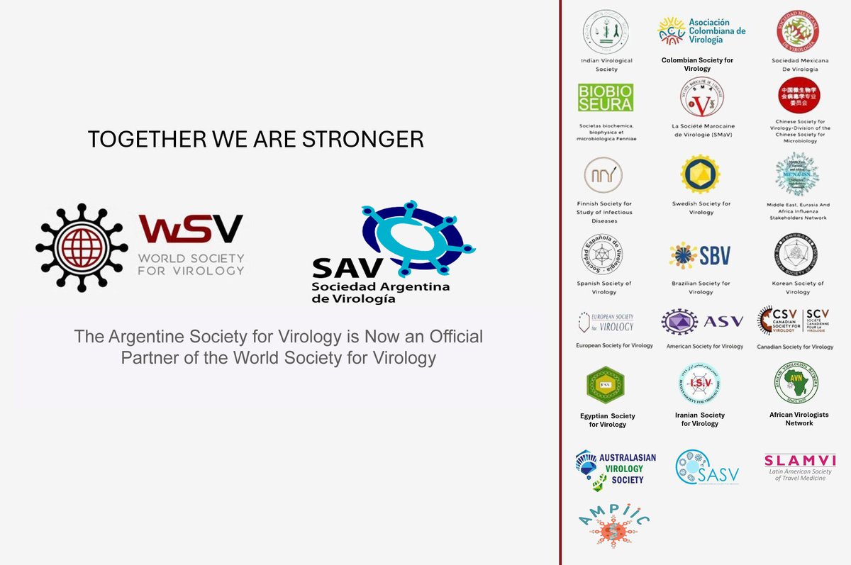 WSVirology's tweet image. #Together_We_Are_Stronger:
#The #Argentine Society for Virology is Now an Official Partner of the World Society for Virology is a #_NEW_Official #Partner of #World_Society_for_Virology
Thanks to Prof Susana Lopez, Dr. #Mariano_Perez_Figueras and Dr. #Andrea_Mangano