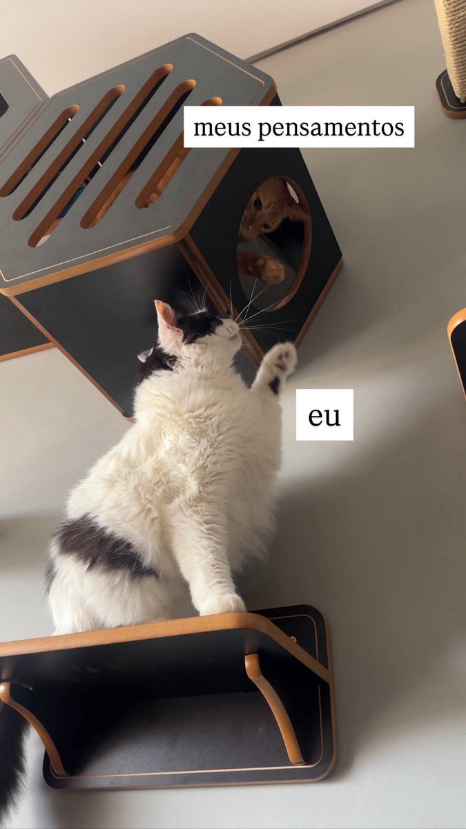 wtfmiu's tweet image.