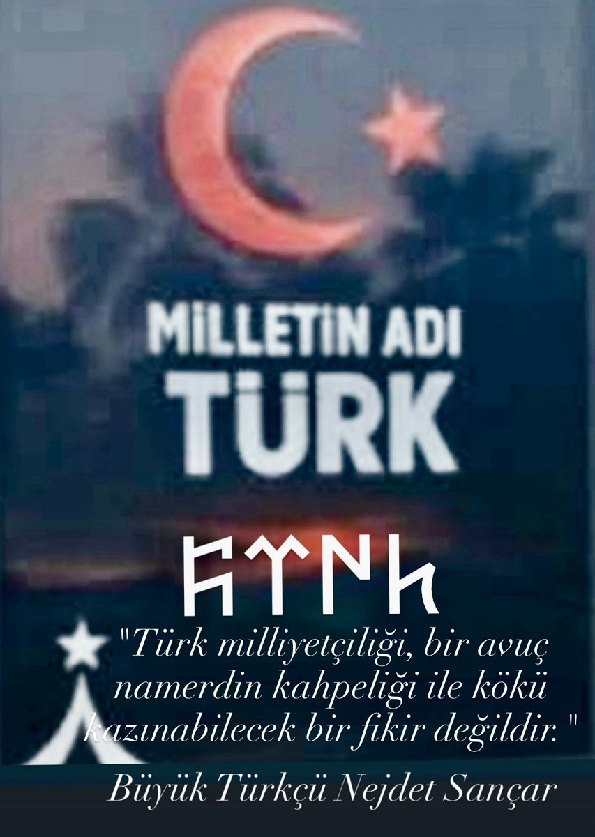 "Türk milliyetçiliği, bir avuç namerdin kahpeliği ile kökü kazınabilecek bir fikir değildir."

 Büyük Türkçü Nejdet Sançar