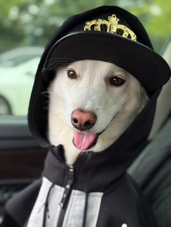 Dawg is ready to go to millions.