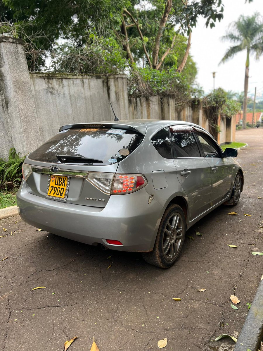 THE PLUG UG🇺🇬 tweet media