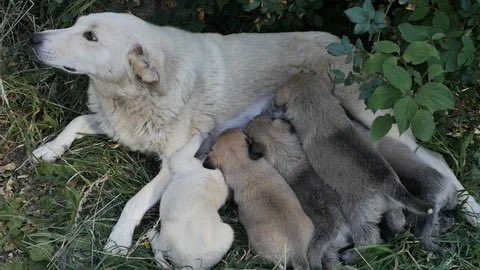 بس اے وی دل کیا پوسٹ کرنے کو
<a href="/WailaHu/">وقاص 🤡</a>
<a href="/Winx__Hu/">🔱 Proud ᵀᵉᵃᵐ ᴹᵃˢᵗᵃⁿᵈᵃ</a>
<a href="/Sumz_Rajput/">Sumaira ᶦᵏᶠ</a> 
<a href="/AsaddRattay/">Stranger</a>
<a href="/DaughterOfSoil_/">Aima Khan</a>
<a href="/b_iz175/">Bright eyes</a>
<a href="/RoyaPTI_/">Roya Najwa Khan</a>
 <a href="/MOONKHANPK1/">MOON KHAN</a>
<a href="/seyam_83/">محمد صیام</a>
<a href="/Mission_1947/">Kashif ( بابا ٹیکہ)</a>
<a href="/rani_Love_PM_IK/">رانی♥️🇵🇰</a>
<a href="/Sadiqaamir3/">K.A.K.A( アーミル・ミアン )</a>
<a href="/junaidamir/">Junaid Amir</a>
@HunainShehzadi
<a href="/i_agent101/">hope</a>
<a href="/S0UL_2_S0UL/">SõüL</a>
<a href="/udaspurdesi/">ⁱᴾⁱᵃⁿ 🌊سمندر پار پردیسی🌊</a>
<a href="/0pakpti1/">عارف شہزاد</a>
<a href="/UjalaRaza_/">Ujii 👽</a>
<a href="/Faisalnow_/">𝔽𝕒𝕚𝕤𝕒𝕝 𝕄𝕒𝕝𝕚𝕜</a>