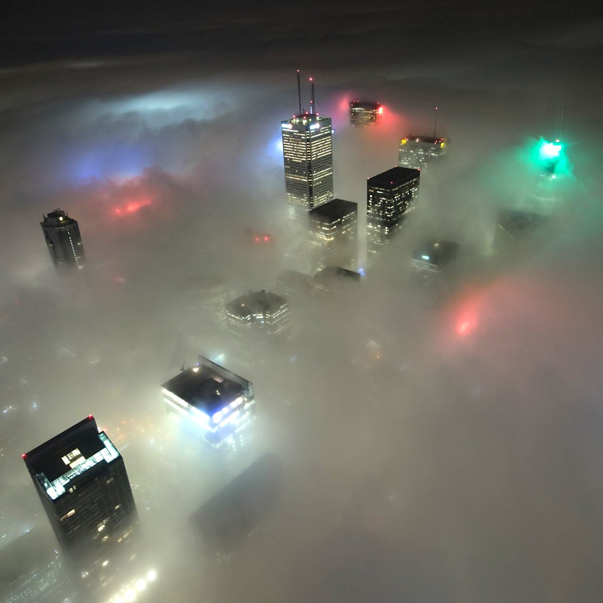 rare_jpg's tweet image. 