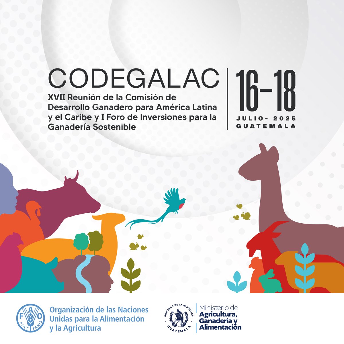FAO Ecuador (@faoecuador) on Twitter photo Del 16 al 18 de julio, la <a href="/FAO/">Food and Agriculture Organization</a> reúne a los países de América Latina y el Caribe en la XVII #CODEGALAC.
🤝 Un foro para impulsar el diálogo y la acción regional por una #GanaderíaSostenible
Más bit.ly/CODEGALAC2025
#MejorProducción Del 16 al 18 de julio, la <a href="/FAO/">Food and Agriculture Organization</a> reúne a los países de América Latina y el Caribe en la XVII #CODEGALAC.
🤝 Un foro para impulsar el diálogo y la acción regional por una #GanaderíaSostenible
Más bit.ly/CODEGALAC2025
#MejorProducción
