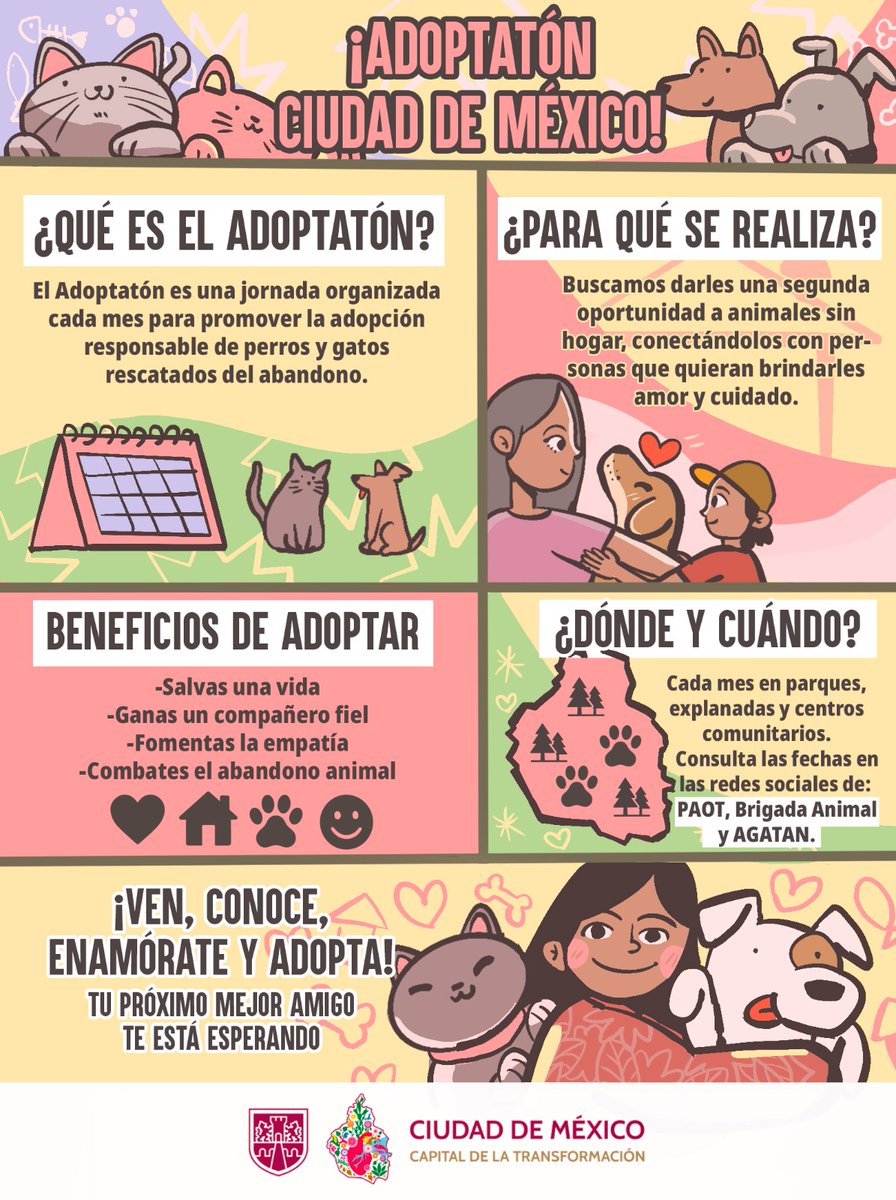 Gobierno de la Ciudad de México (@gobcdmx) on Twitter photo 🐱 ¡Ellos se merecen todo! 🐶❤️
❤️🩹 Con el #Adoptatón puedes brindar un hogar amoroso y cálido a un lomito o michi. 🐈⬛ 🐕 Consulta <a href="/PAOTmx/">PAOT</a>, <a href="/AgatanCdmx/">Agencia de Atención Animal</a> y la brigada animal de la <a href="/SSC_CDMX/">SSC CDMX</a> para mayor información. 🐾
🥰 ¡No te arrepentirás! Adoptar una o un mejor amigo te cambiará 🐱 ¡Ellos se merecen todo! 🐶❤️
❤️🩹 Con el #Adoptatón puedes brindar un hogar amoroso y cálido a un lomito o michi. 🐈⬛ 🐕 Consulta <a href="/PAOTmx/">PAOT</a>, <a href="/AgatanCdmx/">Agencia de Atención Animal</a> y la brigada animal de la <a href="/SSC_CDMX/">SSC CDMX</a> para mayor información. 🐾
🥰 ¡No te arrepentirás! Adoptar una o un mejor amigo te cambiará