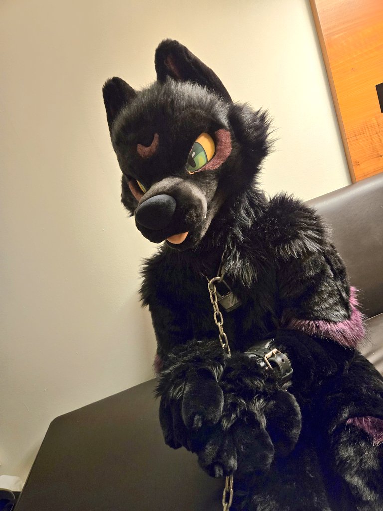 _Uro's tweet image. Gotta keep your wolf gf under control when the full moon hits!
🔗🔒

🐺  @starsentbeast