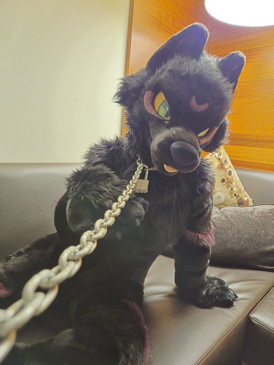 _Uro's tweet image. Gotta keep your wolf gf under control when the full moon hits!
🔗🔒

🐺  @starsentbeast