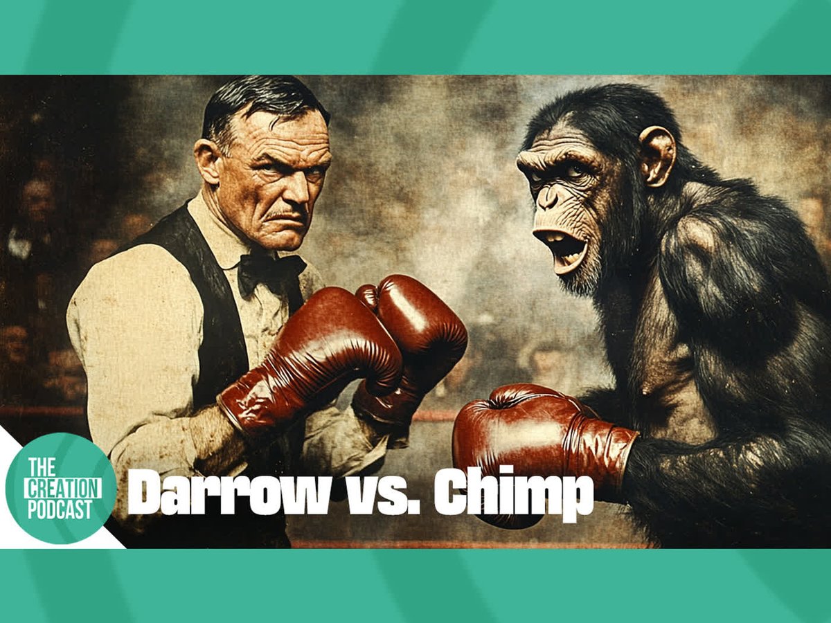 ICRscience's tweet image. 🎙️ The Scopes Trial is one of the most famous court cases in U.S. history, and this year marks its 100th anniversary. Often framed as a battle between science and religion, how much of what we're told is real?
youtu.be/Opy9jSgXQJo?si…
#TheCreationPodcast