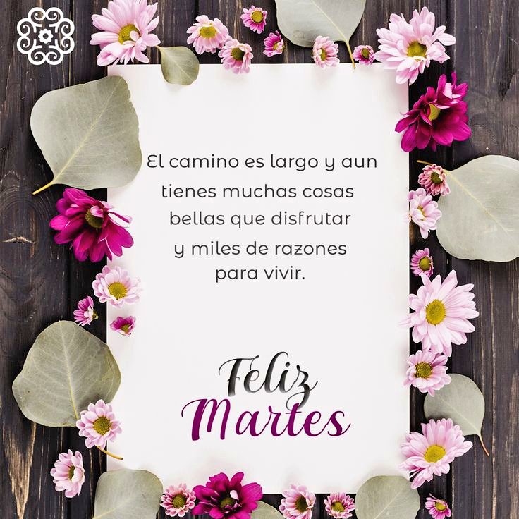 #FelizMartes 🦋 🌈 💓 🌼 #Bendecida y #Agradecida ✨ 🩵 🙌🏼 🌿 #ViveBonito 😍 🍃 #ViveSano 🍃 🌱 #ViveBlen ☀️ 🌈 #MartesDeMotivación