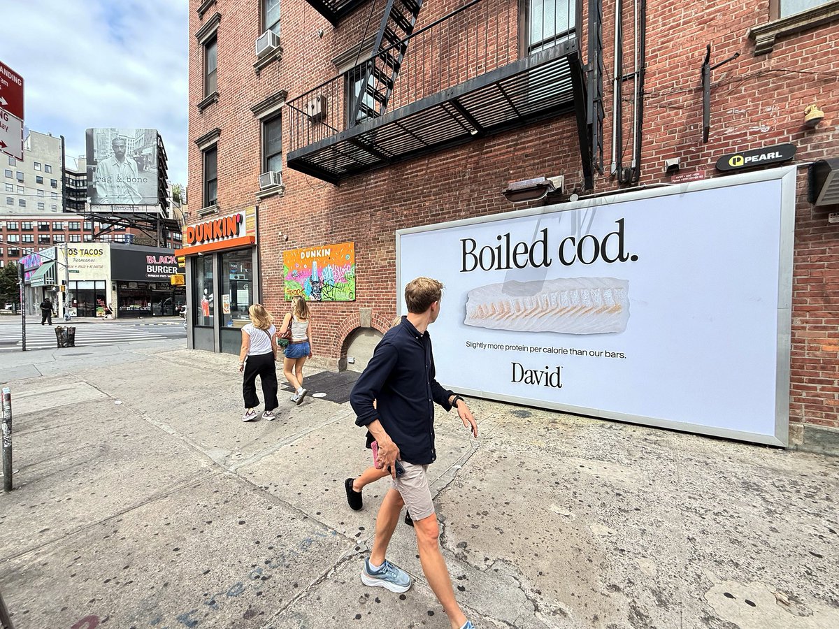 <a href="/rionharmon/">rion harmon</a> &amp; <a href="/PeterRahal/">Peter Rahal</a> - Codded in SoHo 👀